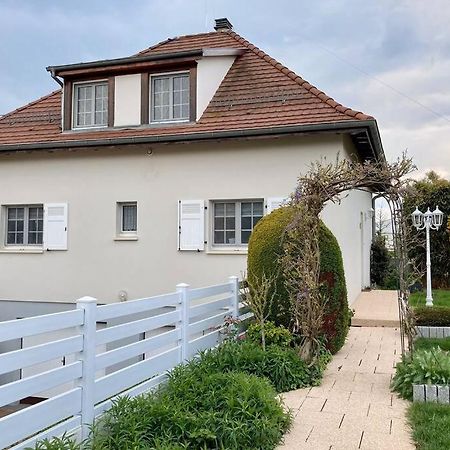 Le Papillon,Logement Cosy En Alsace エルスタン エクステリア 写真
