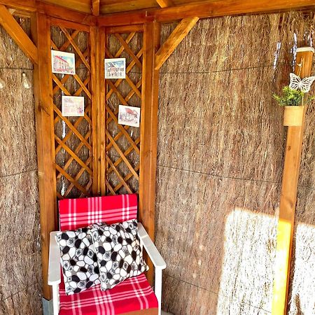 Le Papillon,Logement Cosy En Alsace エルスタン エクステリア 写真