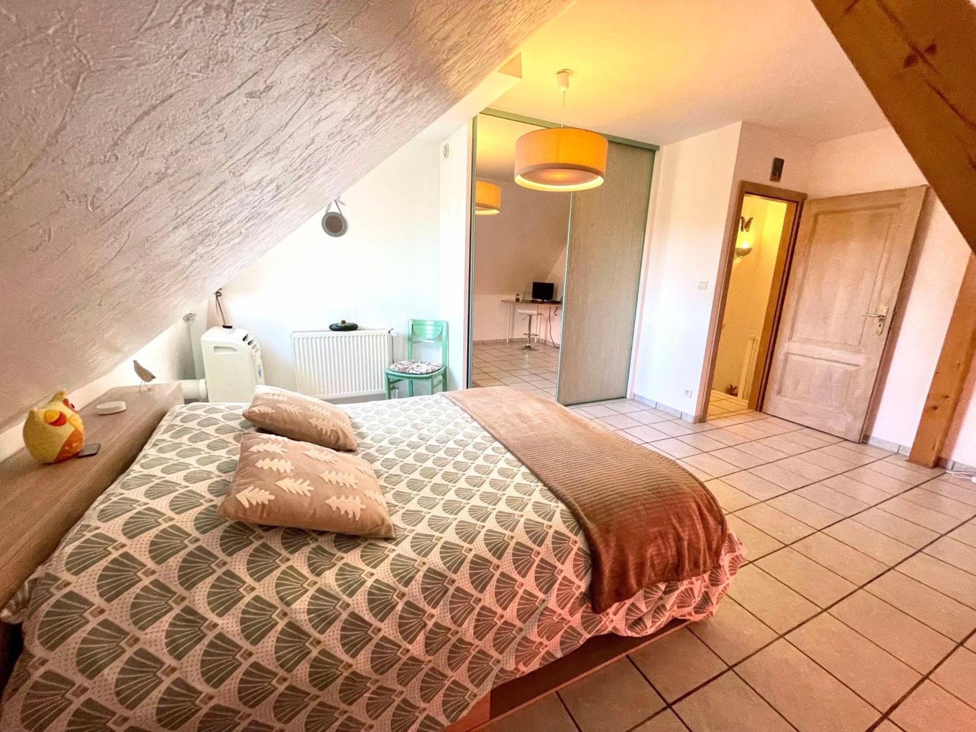 Le Papillon,Logement Cosy En Alsace エルスタン エクステリア 写真